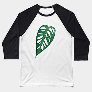 Monstera Adonsonii Leaf Baseball T-Shirt